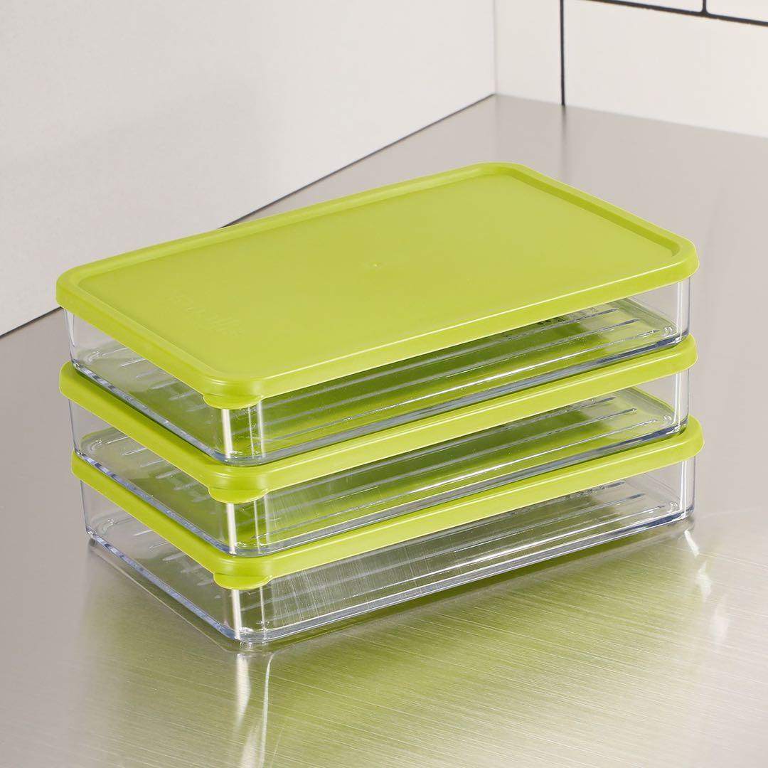 ビバライズ Viva Flat 密閉保存容器 12点セット グリーン 未開封