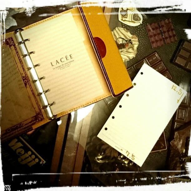 ③みいそん様★専用枠 エリーフィル★ 6穴 手帳 サイズ 創作 リフィル