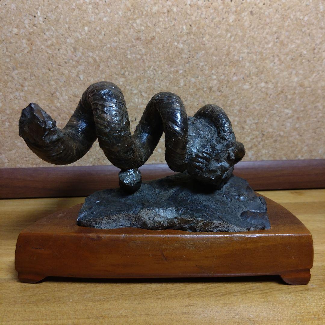 田*夫様 アンモナイト 異常巻 化石(120)