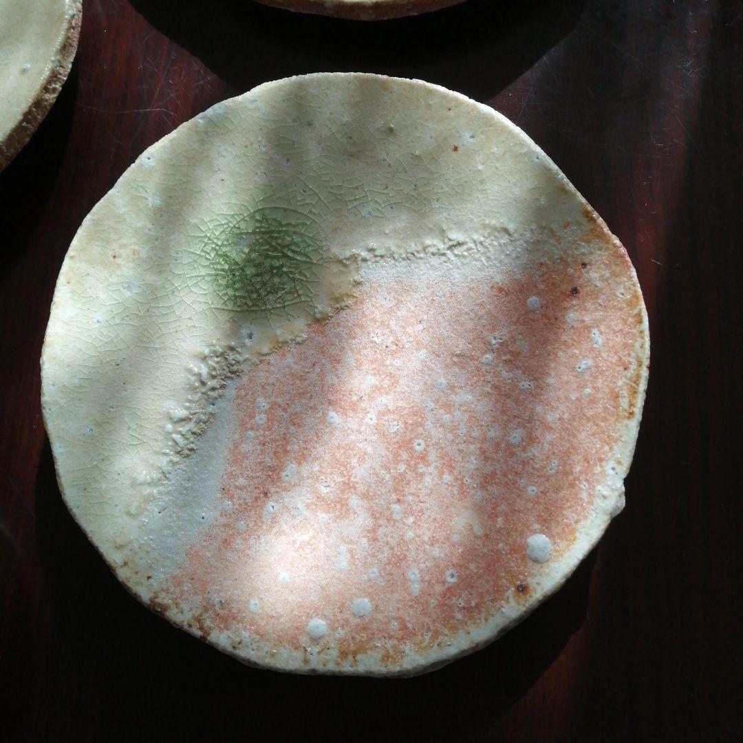 信楽焼　寺垣外窯　杉本貞光　信楽厚手皿　5枚　17cm