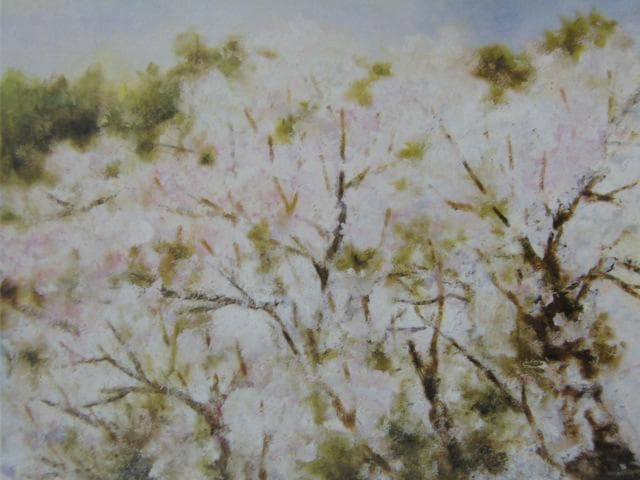 丸山しょうこ、【さくら】、希少画集画より、状態良好、新品高級額装付