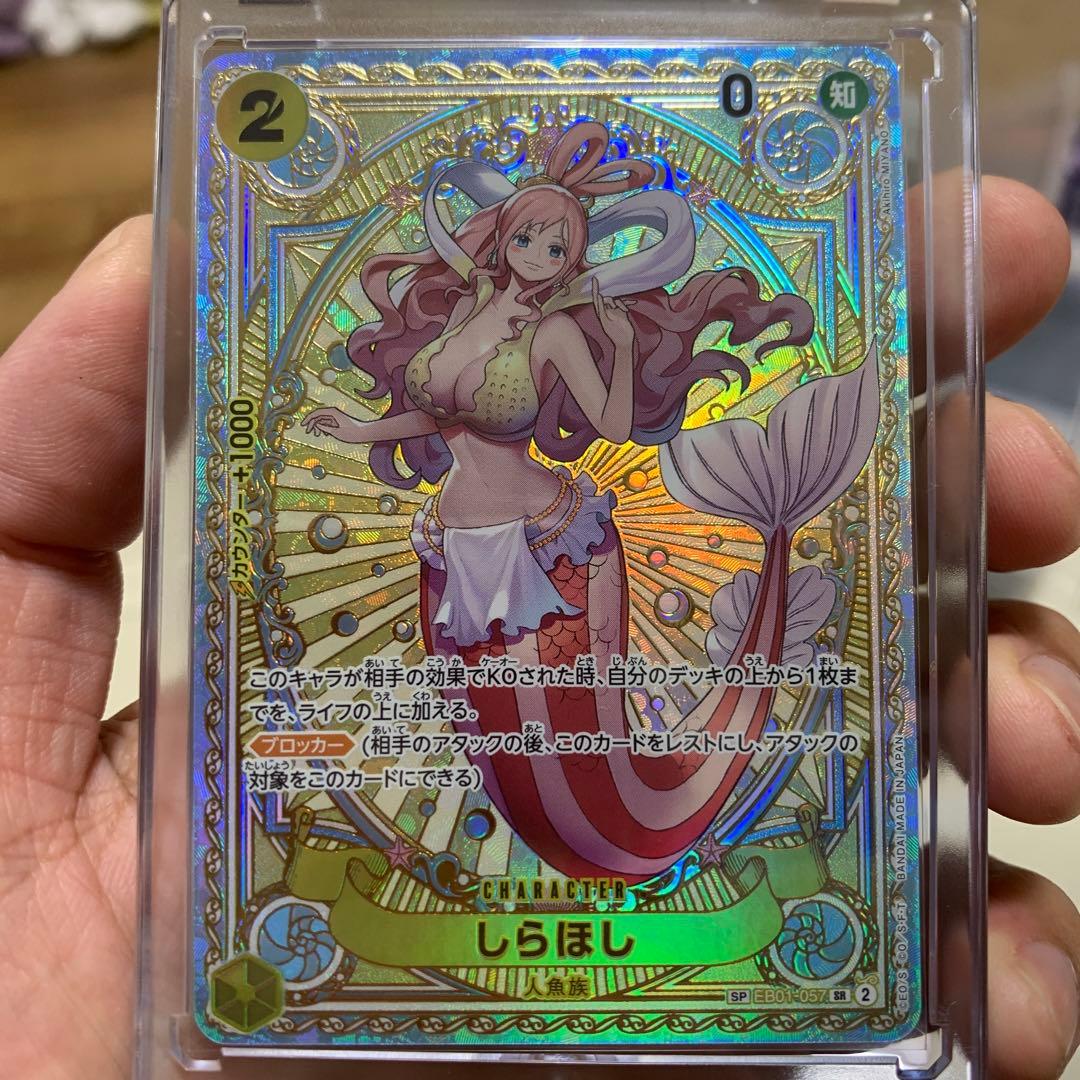 しらほしsp含む美女4枚セット