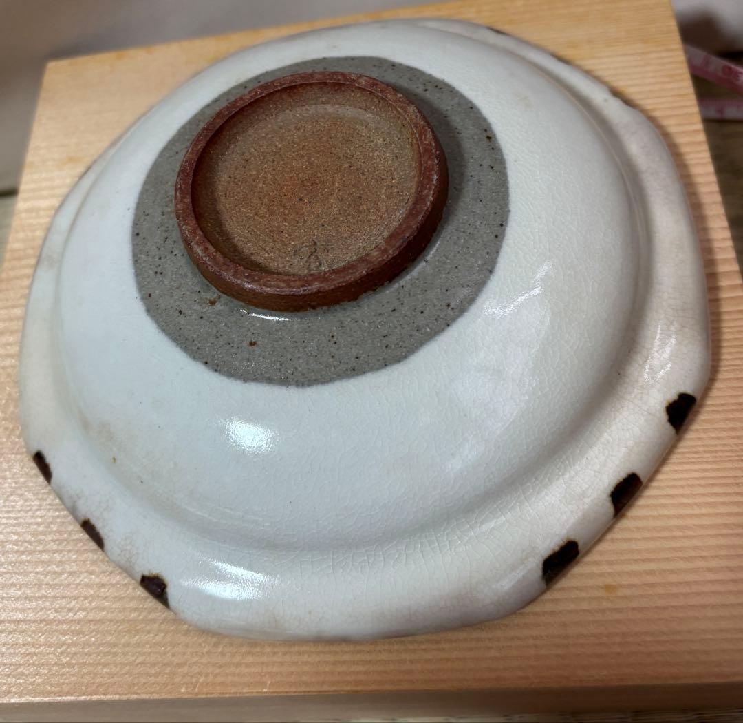 縁起物新品、三玄窯、中里重利、唐津焼、絵粉引皿・根引の夫婦松文様、桐箱入、茶陶、