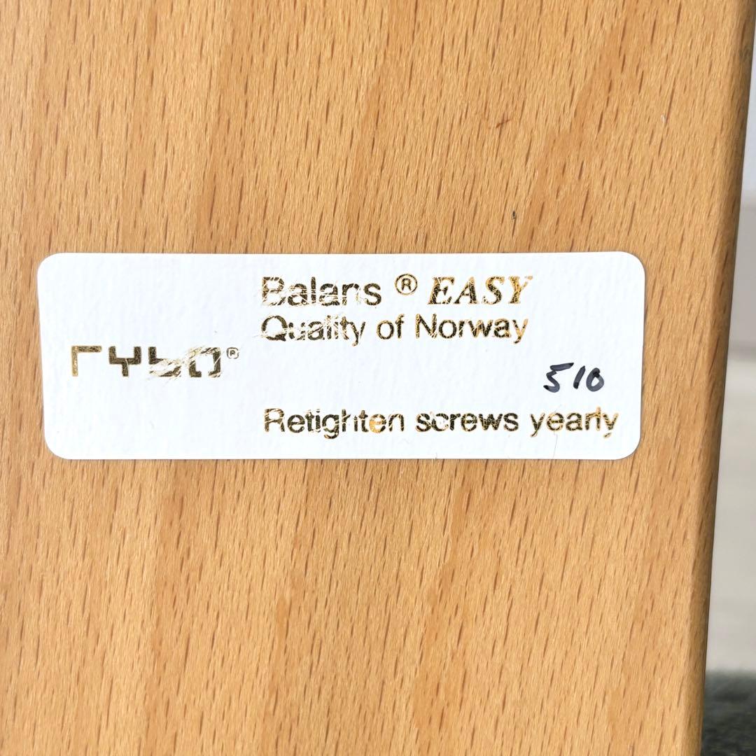 【廃盤希少カラー 】Rybo バランスイージー　Balans EASY グリーン