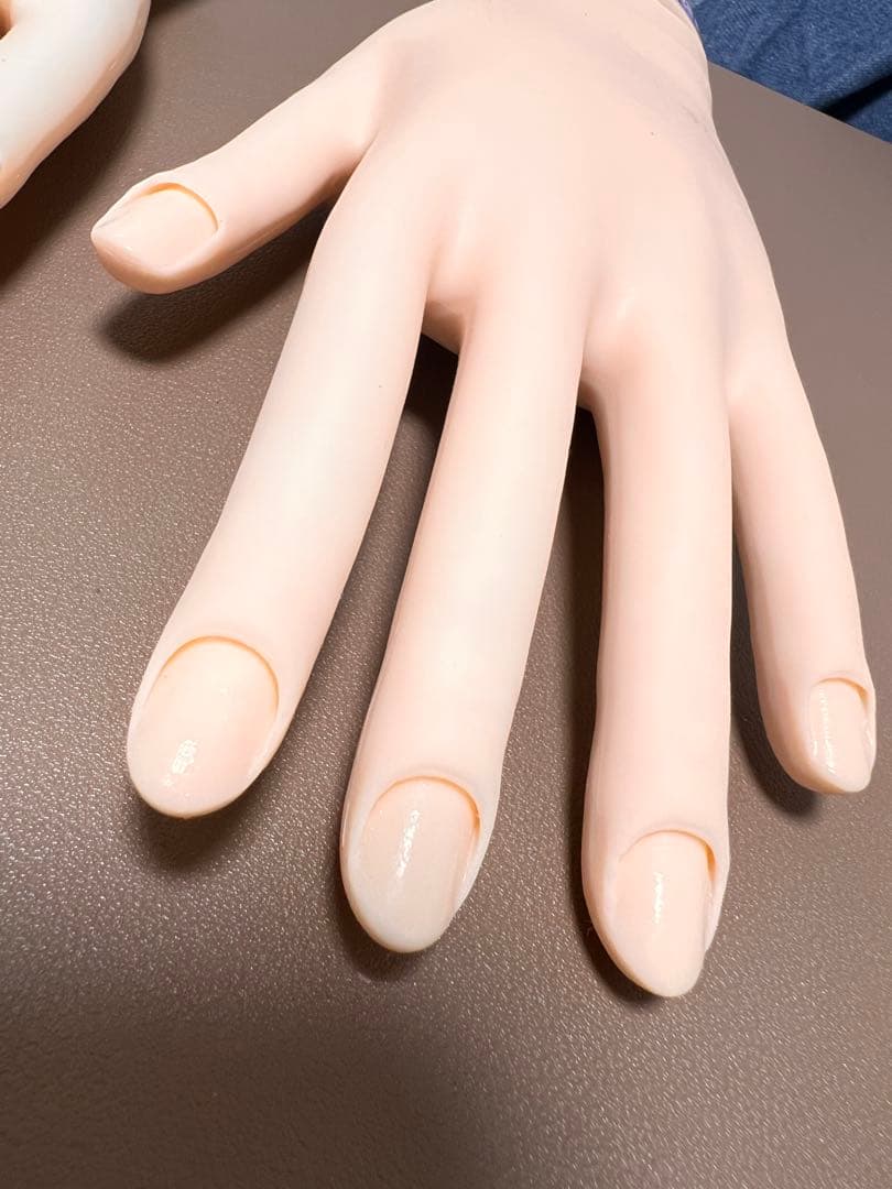 JNEC認定 モデルハンド　2回使用