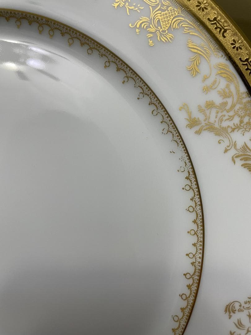 Haviland アビランド Diplomate ディプロメイト プレート 皿