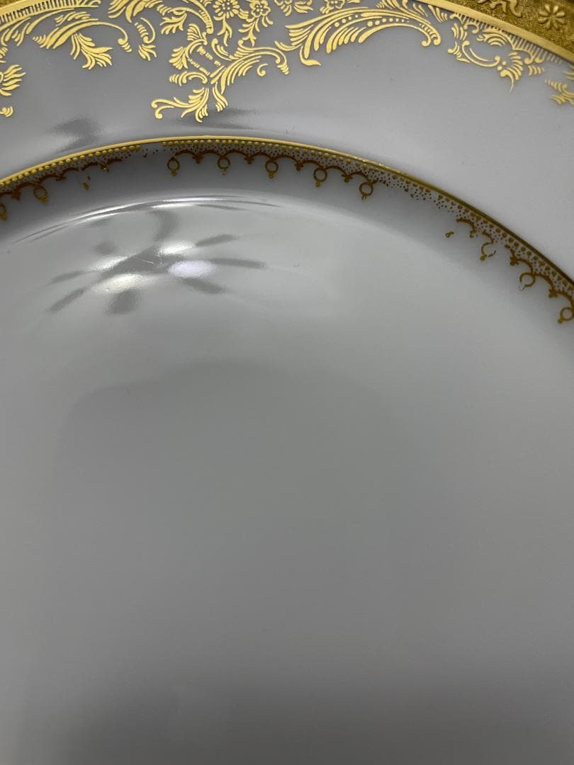 Haviland アビランド Diplomate ディプロメイト プレート 皿