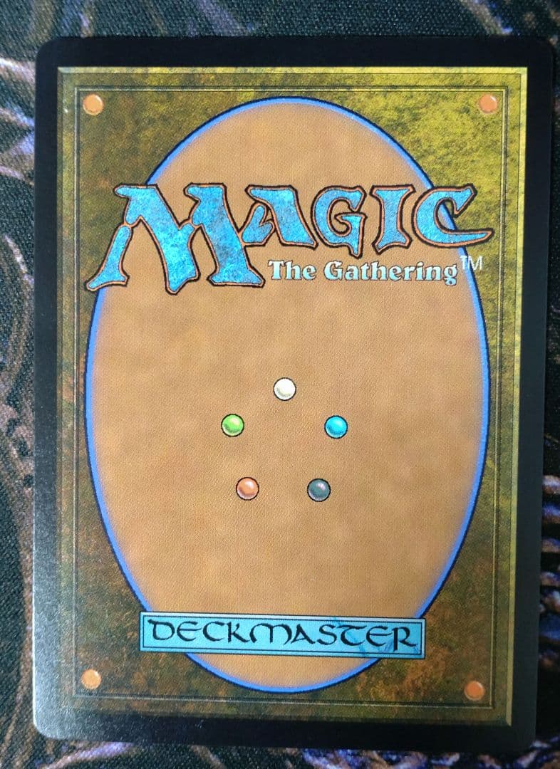 戦慄衆の将軍、リリアナ　天野イラスト　日本語