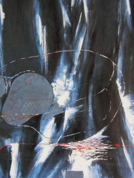 豊島弘尚、森から来る舶、希少画集画、新品額装付、状態良好