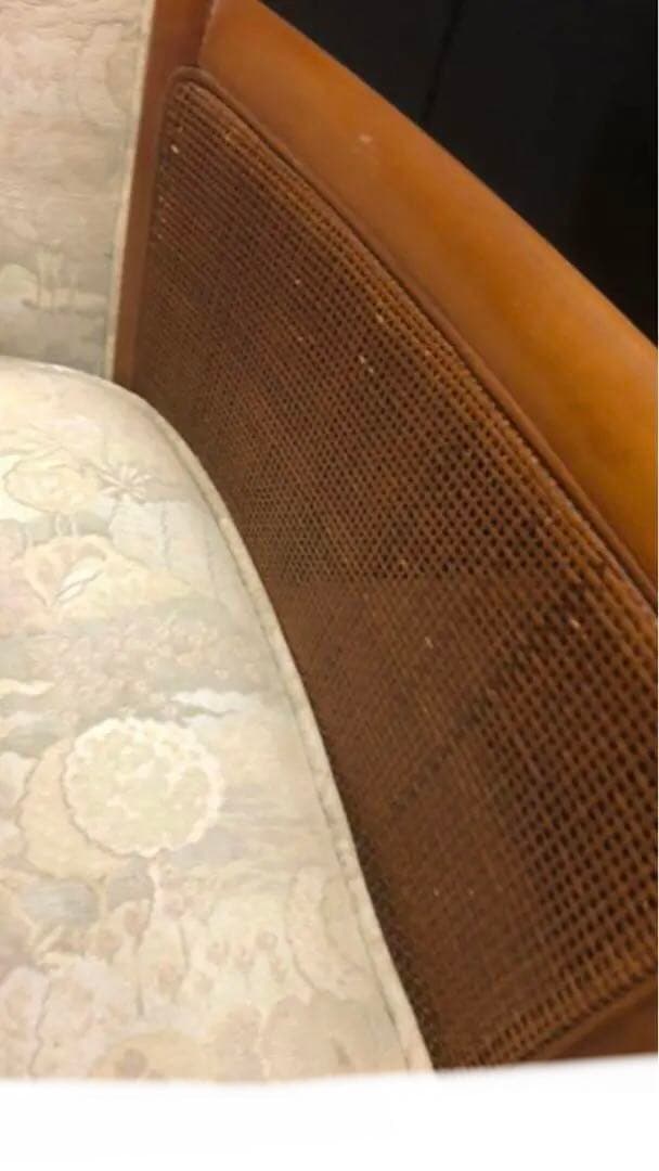 優しい色 ファブリック♦️カリモク♦️高級ラタン　シングルソファ♦️１脚♦️送料込