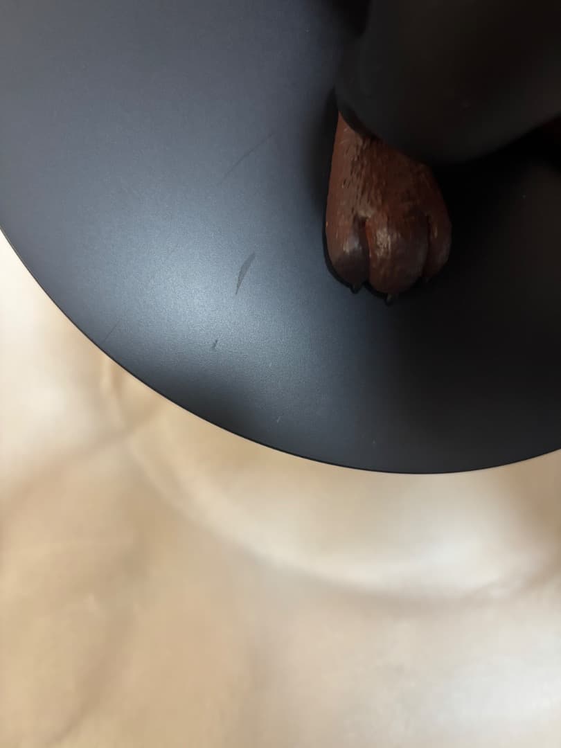 ズートピア2 happyくじ　ラストワン賞　ニック