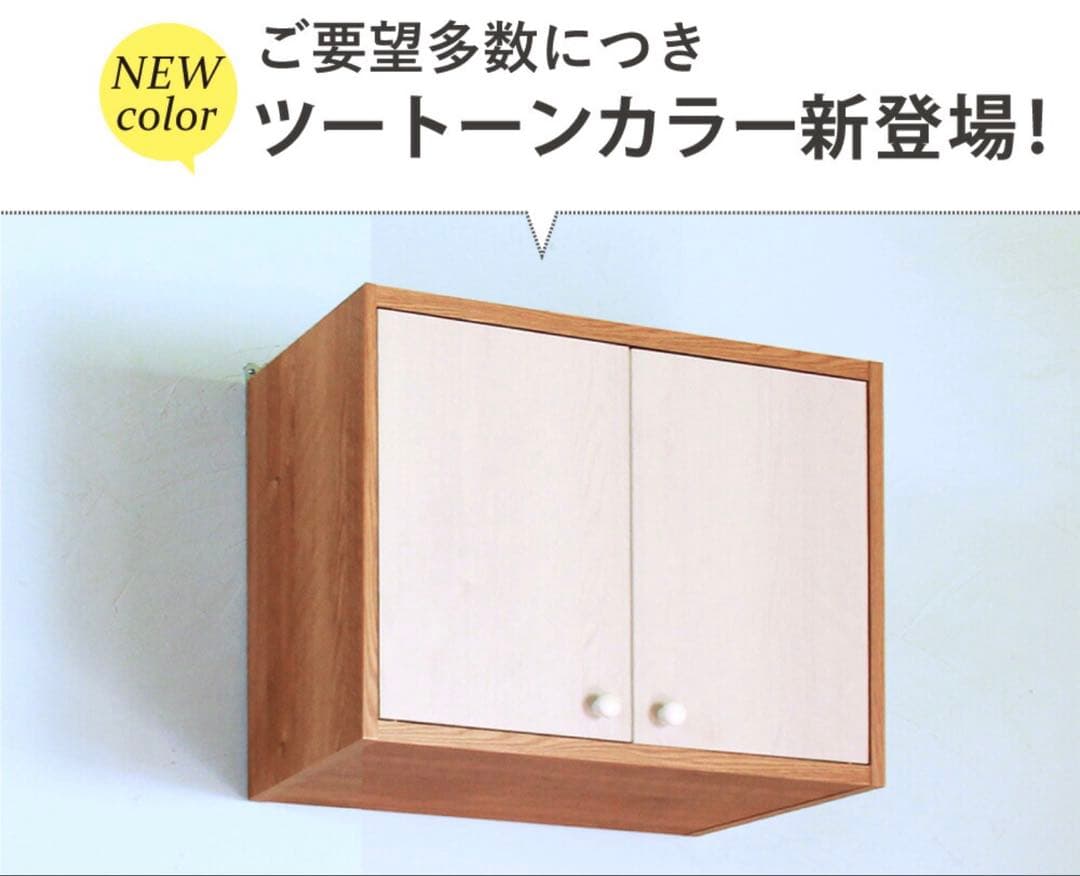 吊り戸棚 完成品 幅60 奥行30 収納 吊戸棚ボックス ラック 壁掛け