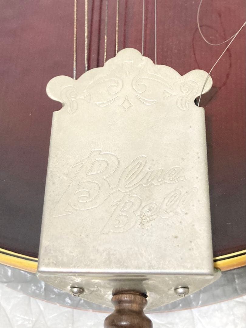 希少】BlueBell フラットマンドリン 高級 F-15 小坂部氏サインあり