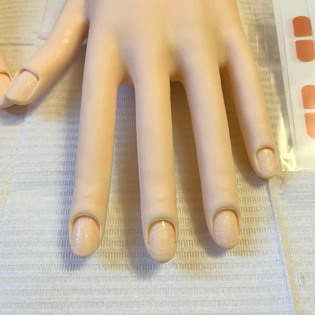 【JNEC認定モデルハンド】骨折なし　箱付き