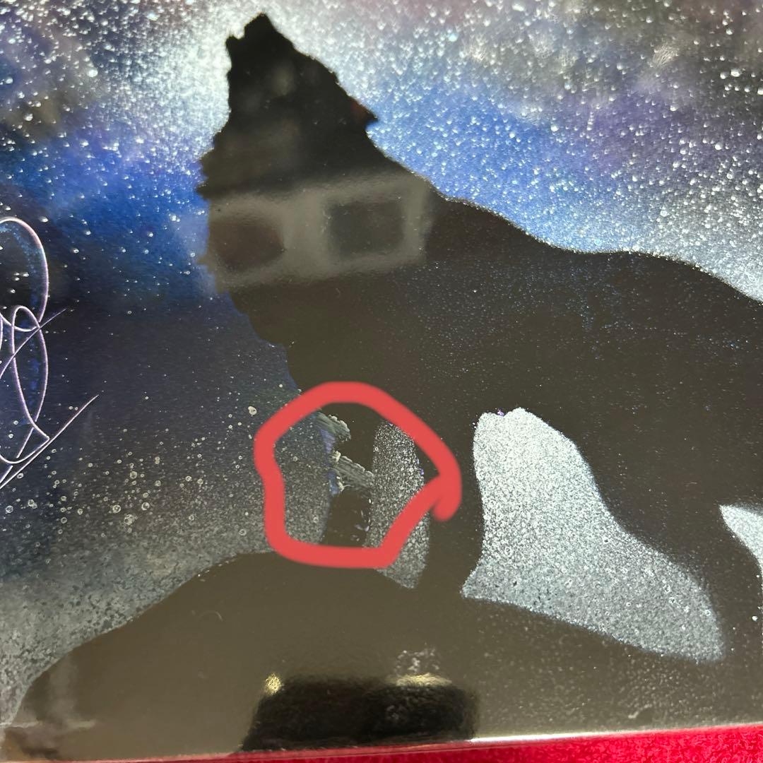 スプレーアートエデンオオカミ原画紙B4サイズ - メルカリ