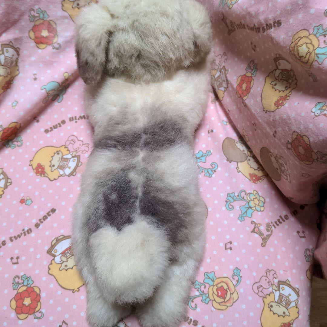 四季オリジナル ぬいぐるみ シーズー 犬 ぬいぐるみ 昭和レトロ