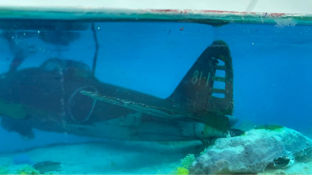 珊瑚の海に眠る零戦 レジン ジオラマ - メルカリ