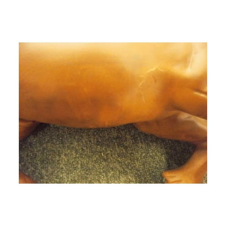 ■木彫りの木馬　キズあり　激安　展示品処分