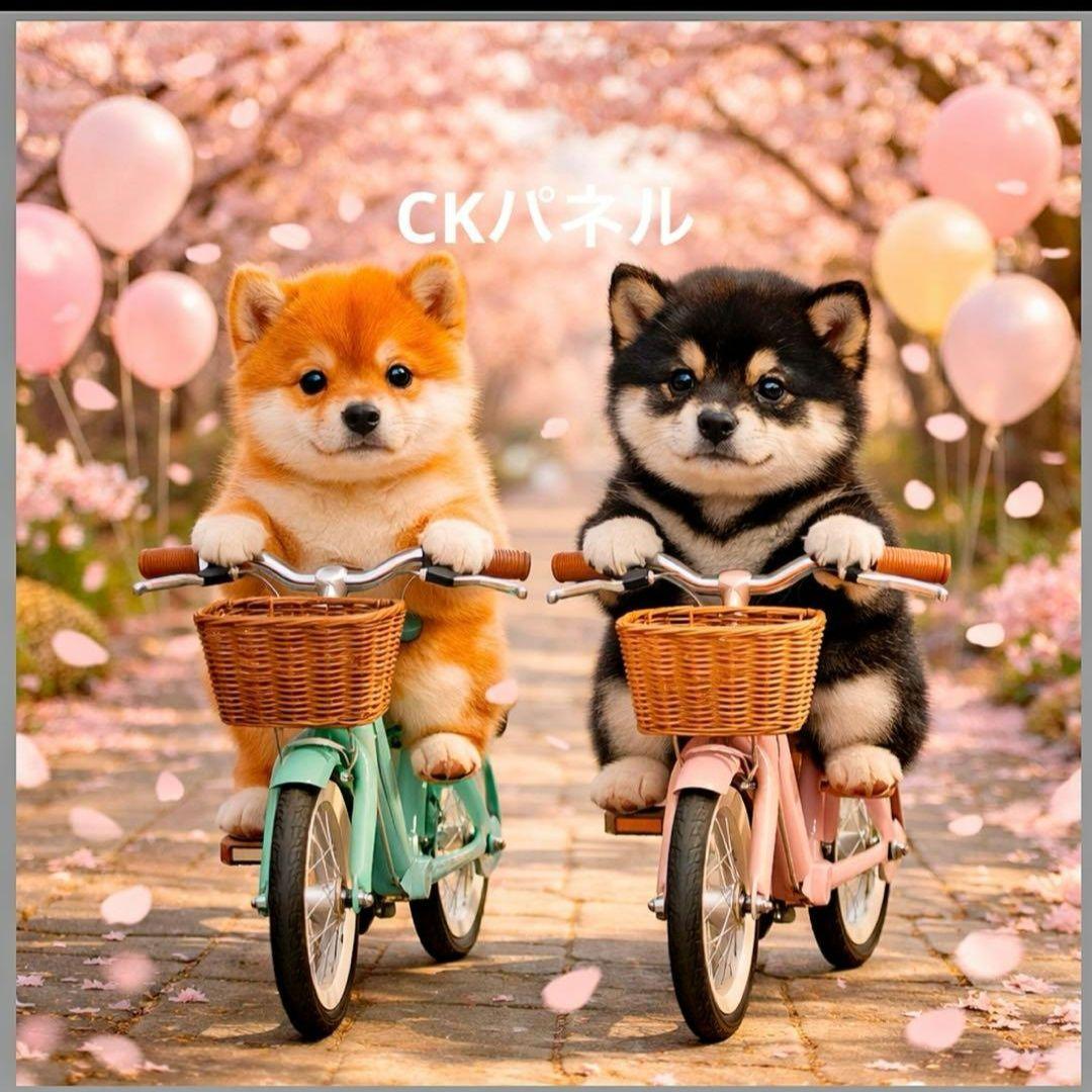 激レアサイクリングチワワ、ポメラニアン、柴犬、マルチーズ、パグ、トイプーパネル