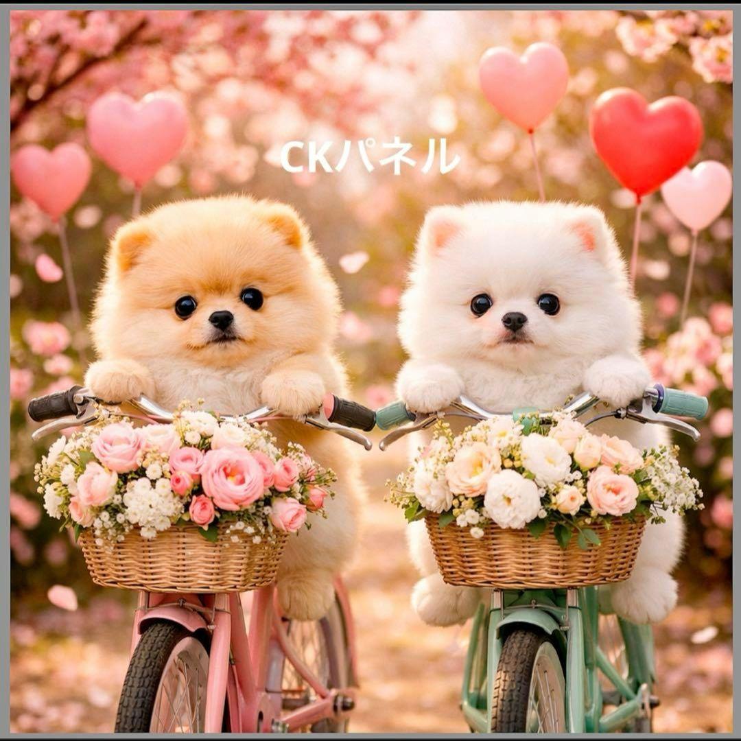 激レアサイクリングチワワ、ポメラニアン、柴犬、マルチーズ、パグ、トイプーパネル