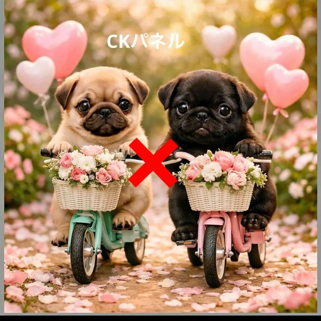 激レアサイクリングチワワ、ポメラニアン、柴犬、マルチーズ、パグ、トイプーパネル