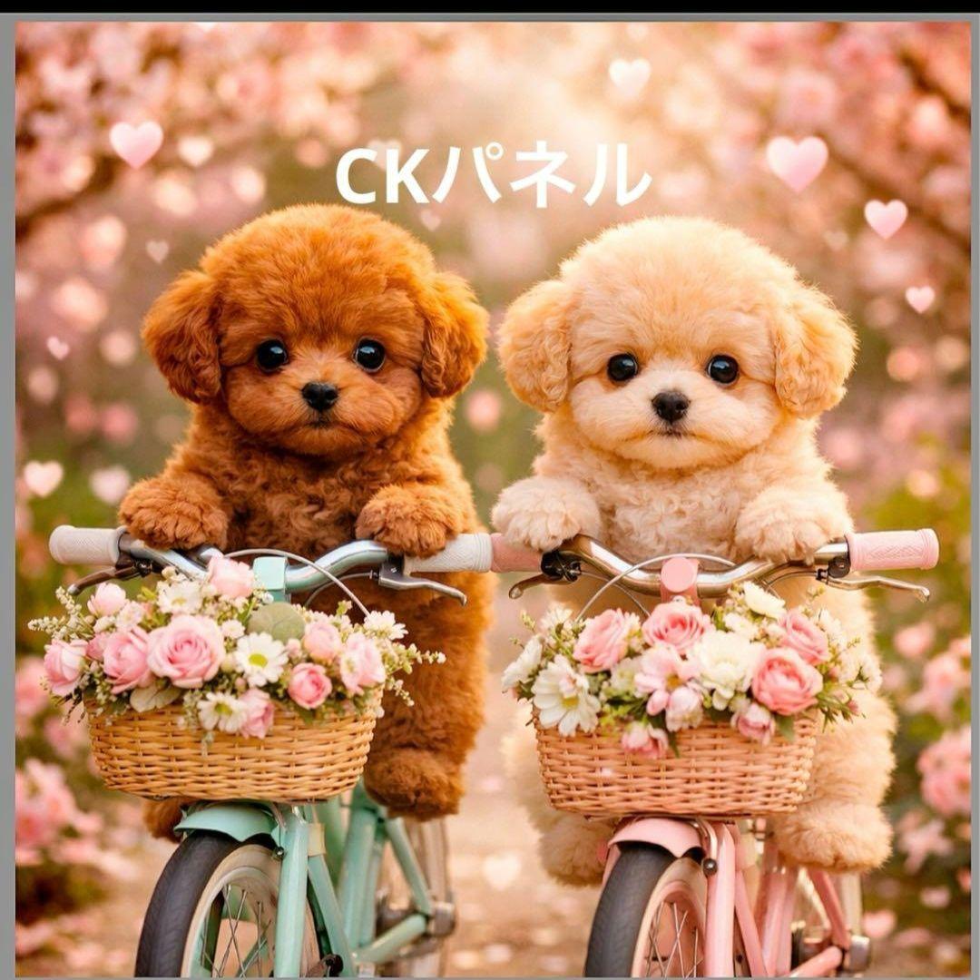 激レアサイクリングチワワ、ポメラニアン、柴犬、マルチーズ、パグ、トイプーパネル