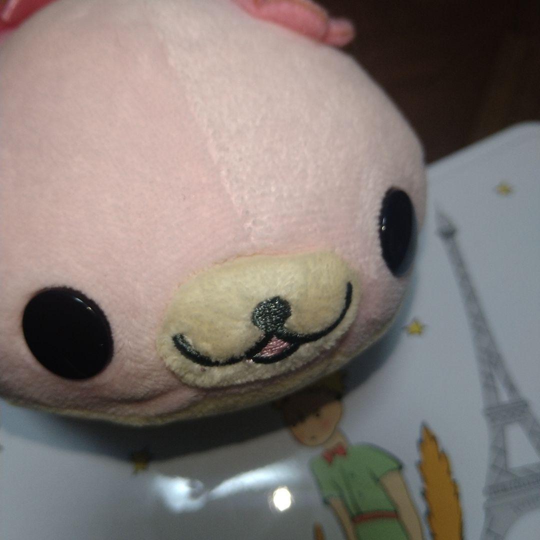 激レア　希少　まめゴマ　さくらゴマ　ドレス