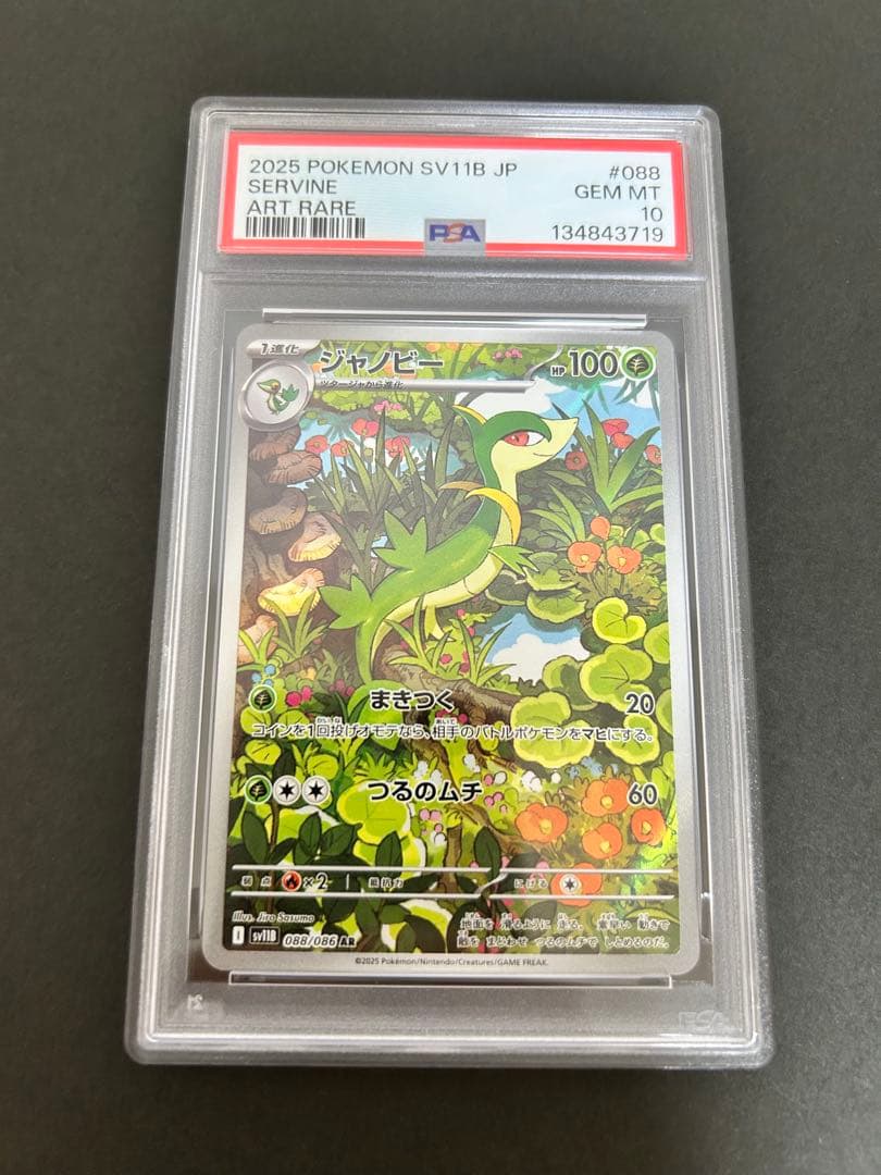 ポケモンカード ツタージャ、ジャノビー、ジャローダ PSA10 3連番