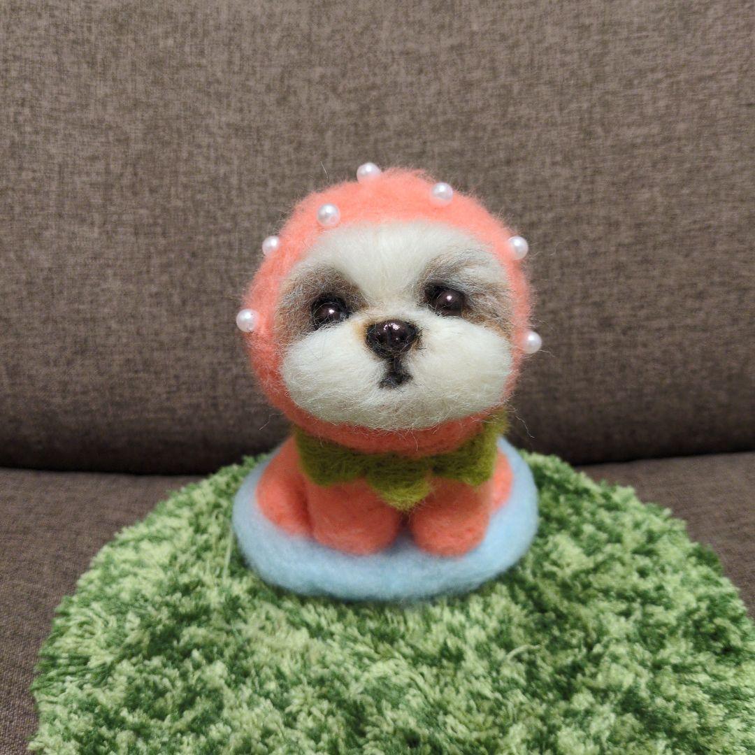 羊毛フェルト****苺着ぐるみ♥シーズーちゃん - メルカリ