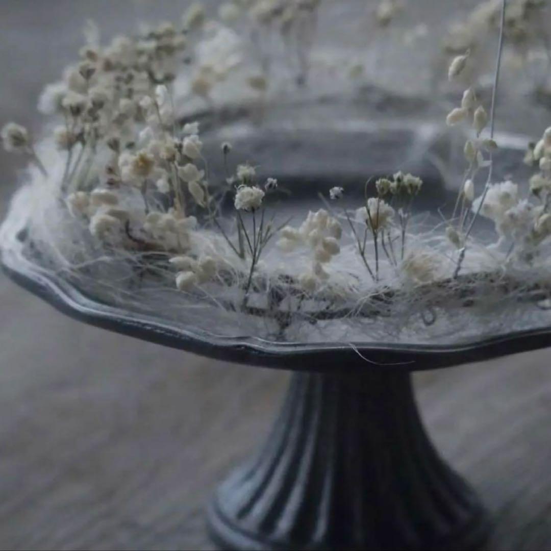 入手困難 co+fe コフェ 高台 コンポート皿 cogu 小具 ハグオーワー