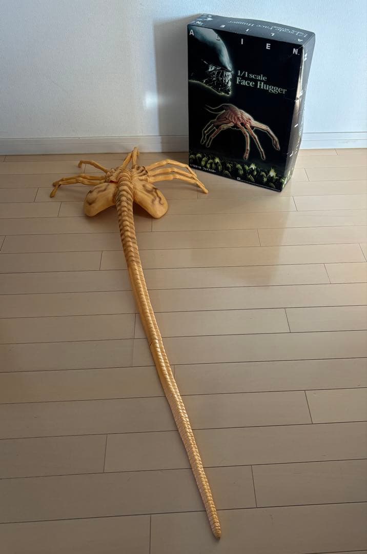 ALIEN/フェイスハガー/フィギュア/エイリアン/原寸/ソフビ/アオシマ/箱