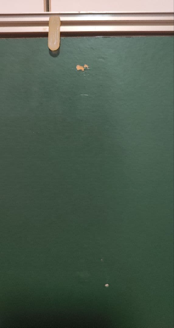 長山洋子さん　肖像画