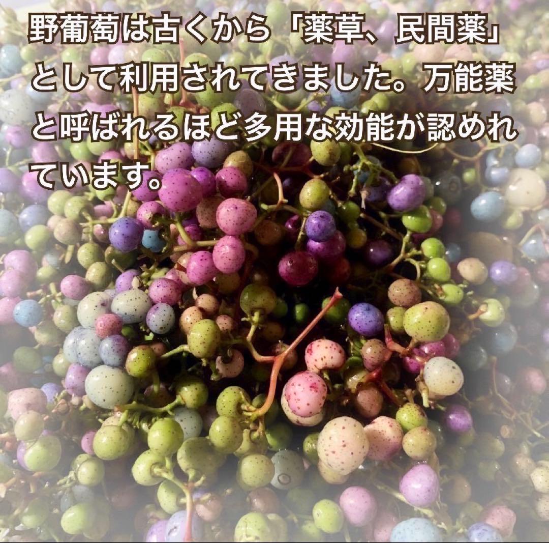 【採れたて】馬ぶどう250g×12袋　1年分3kg うまぶどう　薬膳　民間療法