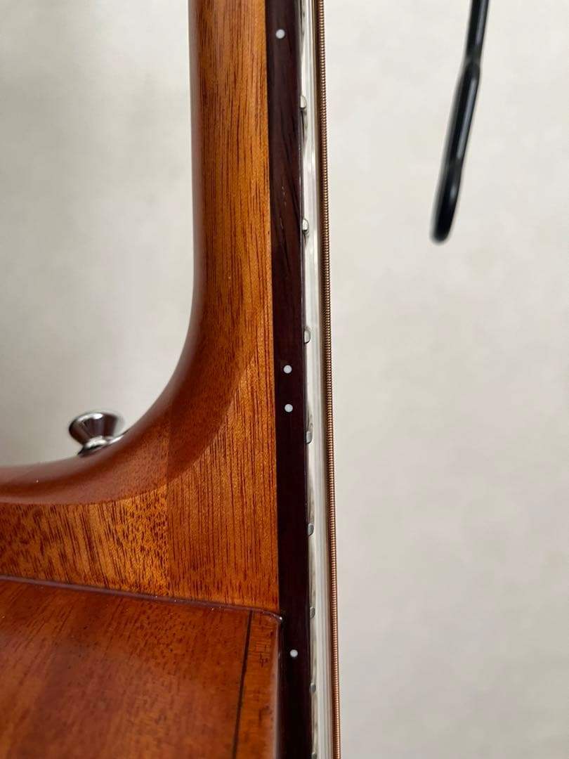 aNueNue M20 アコースティックギター マホガニー 6弦 ギターケース付