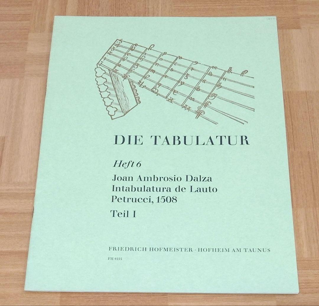 バロック・リュート 14コース 菊地雅樹作 - メルカリ