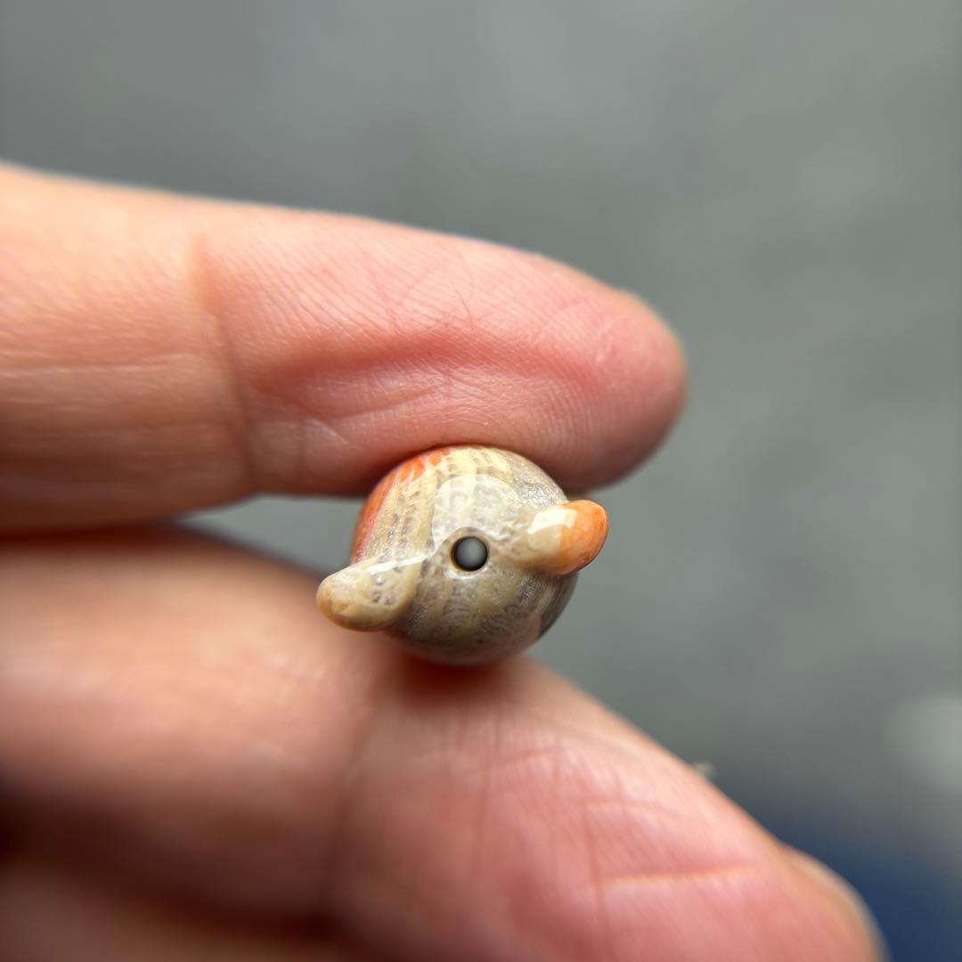 もんちゃんフォッシルコーラル　クマパーツ　1-159