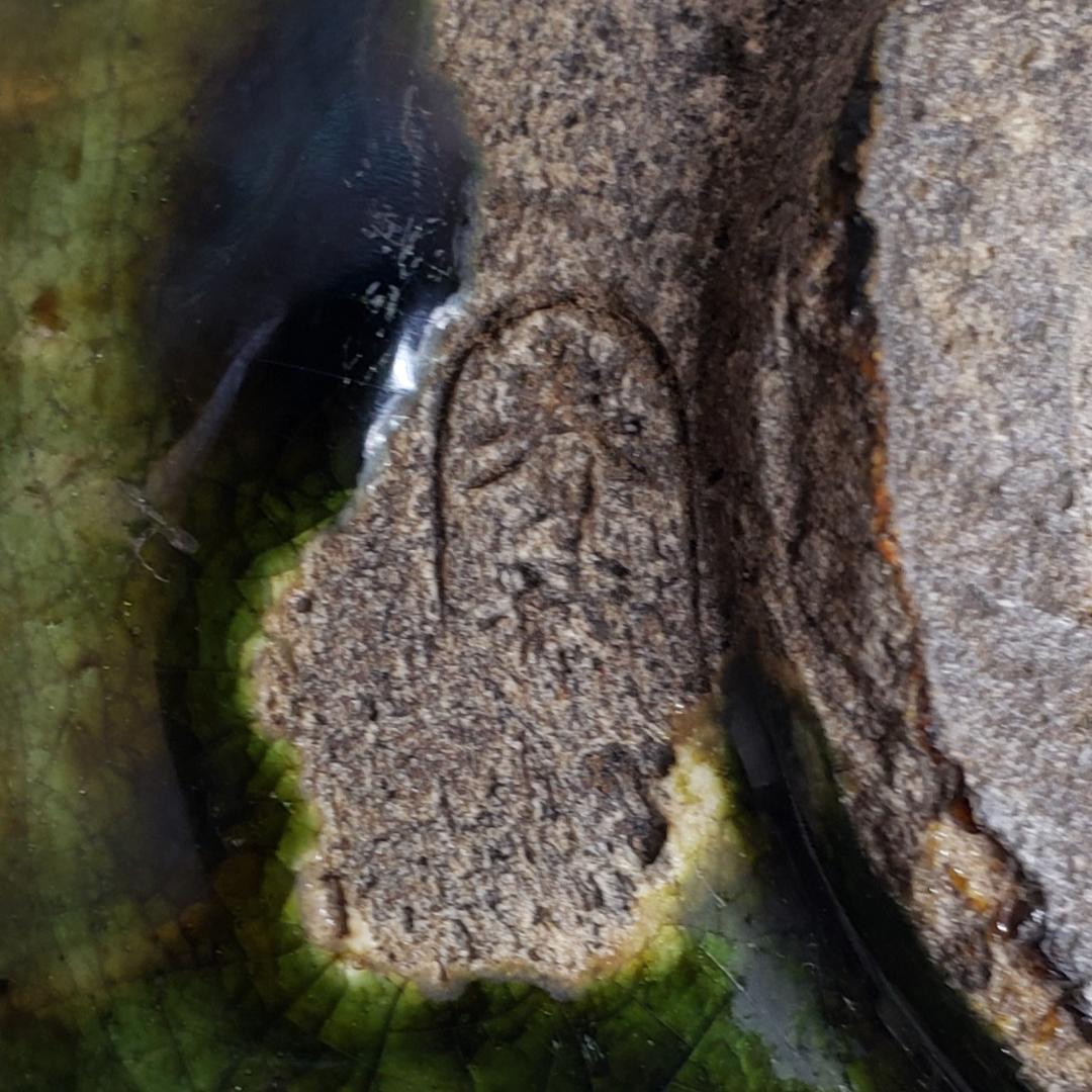 ◇『 加藤春岱 菊花紋曲水織部茶碗』『春岱（花押）』◇検）尾形乾山