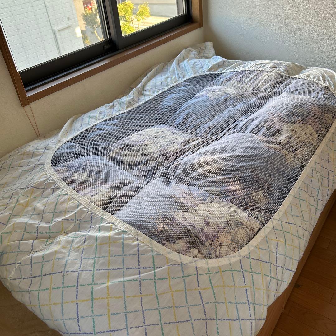 ①綺麗！来客用　花柄羽毛布団　掛け布団　たっぷり1.4kgふかふかあったかい！