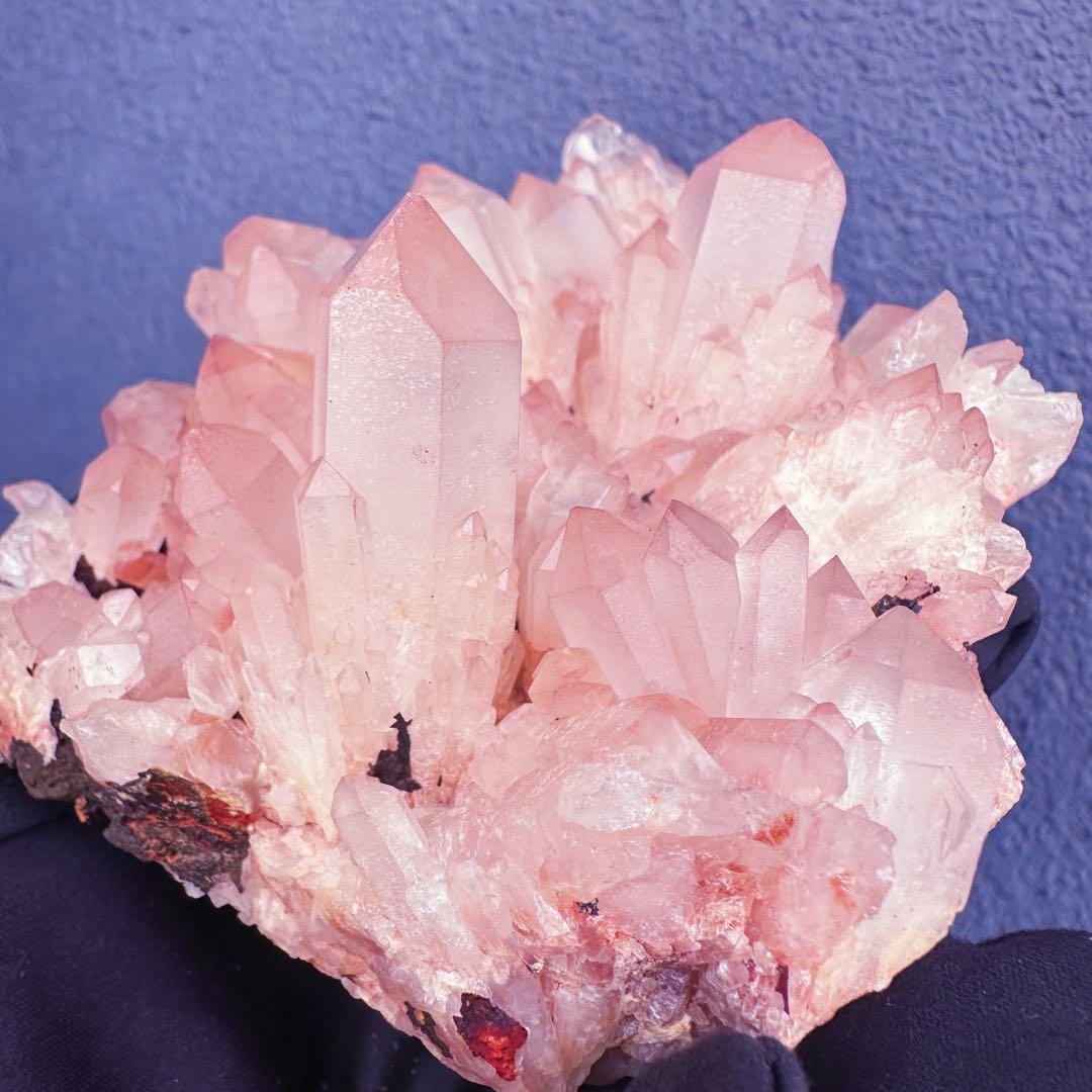 爆アレ❗️可愛いピンク♡超綺麗マダガスカル産パイナップルピンククラスターA1463