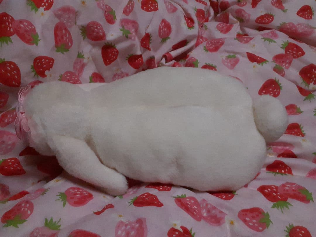 BABY　ティッシュカバー