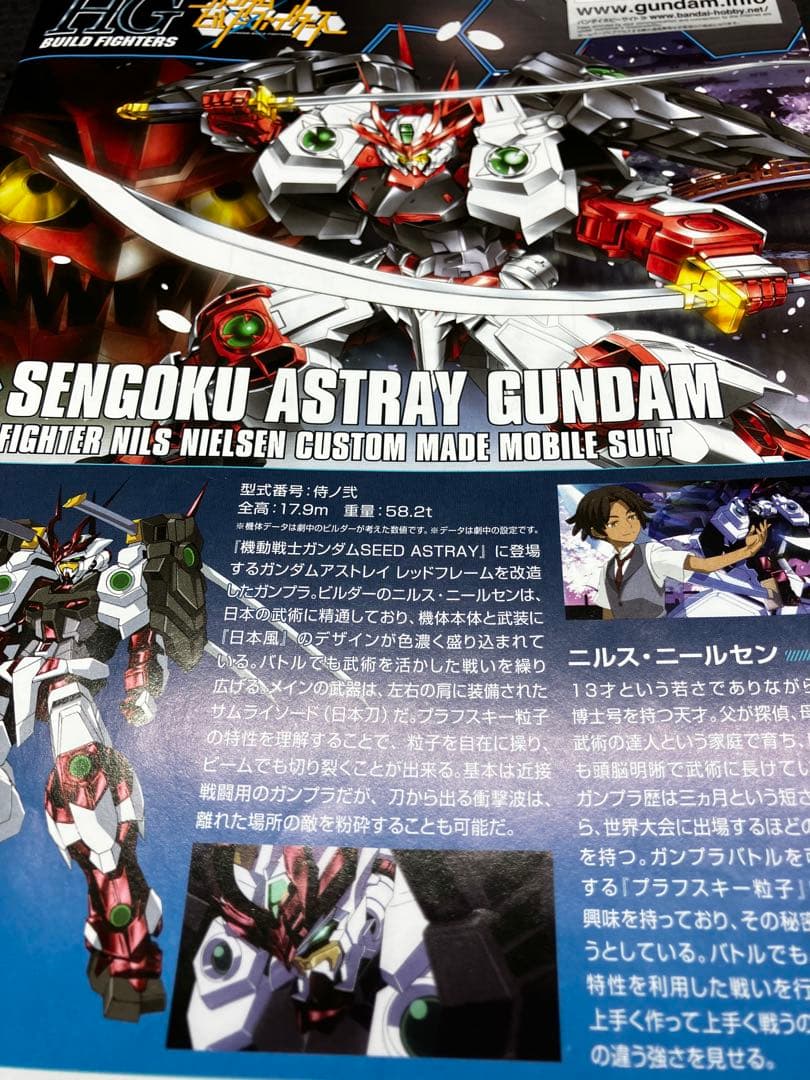 戦国アストレイ　塗装改造品