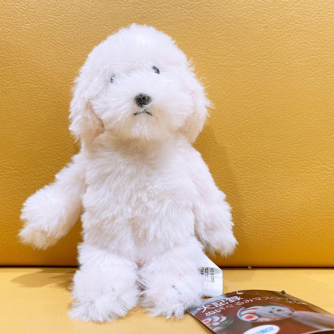 犬記録 ぬいぐるみマスコット モーリーファンタジー - メルカリ