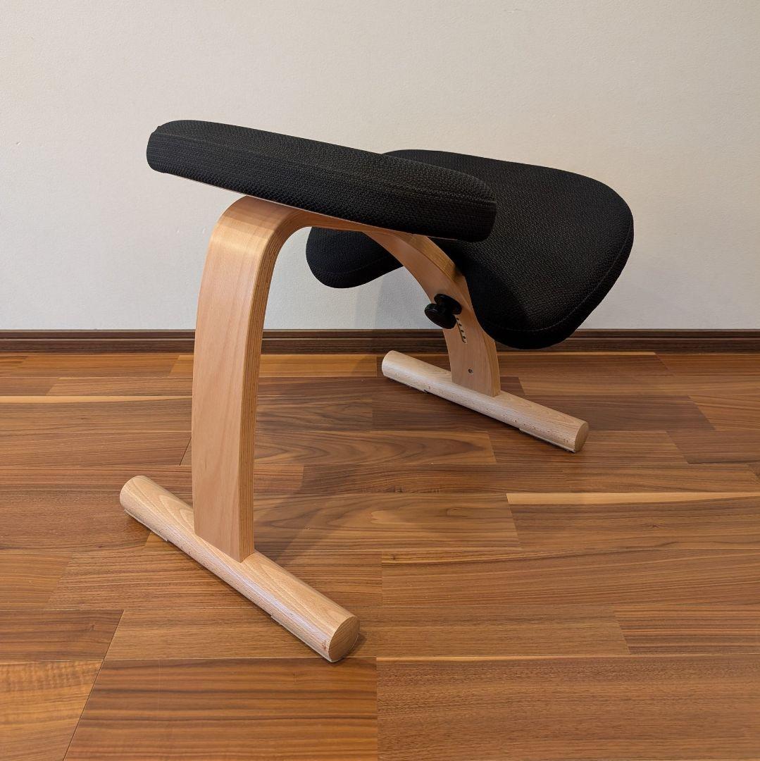 バランスラボ バランスチェア バランスイージー ブラック 通常フレーム 中古美品