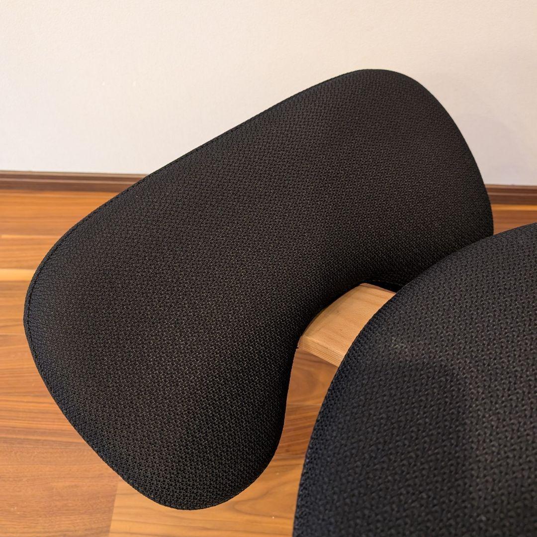 バランスラボ バランスチェア バランスイージー ブラック 通常フレーム 中古美品