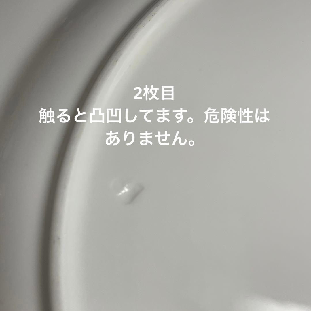 ロイヤルウースター ラビニア プレート 8枚 23cm 23.5cm