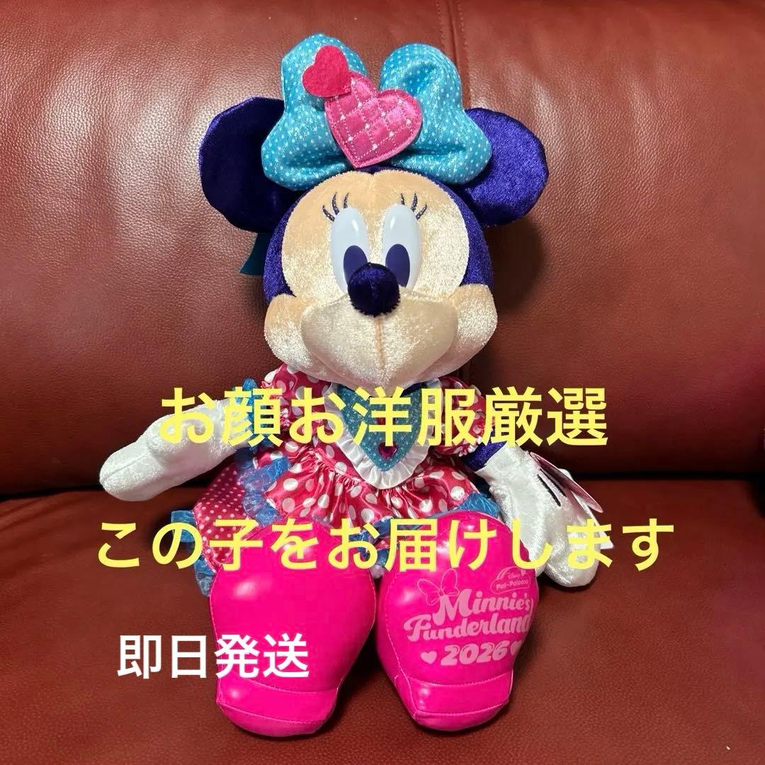専用！ミニパル ディズニーパルパルーザミニーのファンダーランド