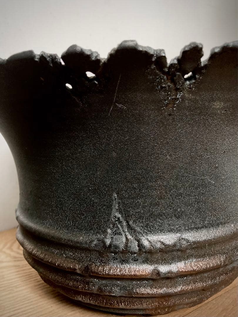 CJ plants × 4C studio コラボ鉢　XXXL