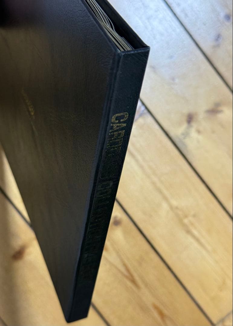 ahirumi　オーダー品