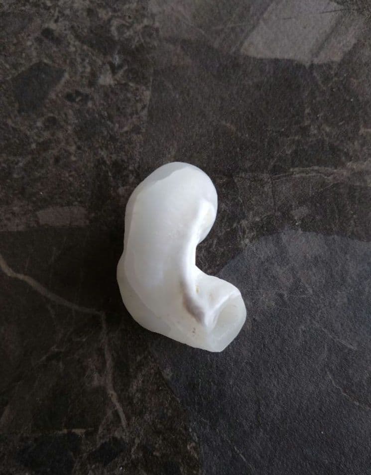 【希少】優美なお姿☆ ケオン パワーストーン 原石 イシカブラ 貝殻 標本 巻貝