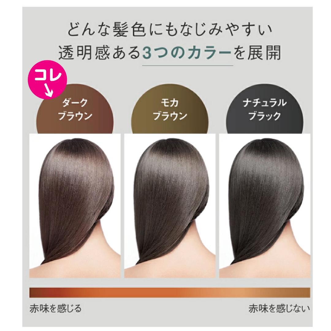 リシリアフレルカラーシャンプー【ダークブラウン2個】+コンディショナー2個